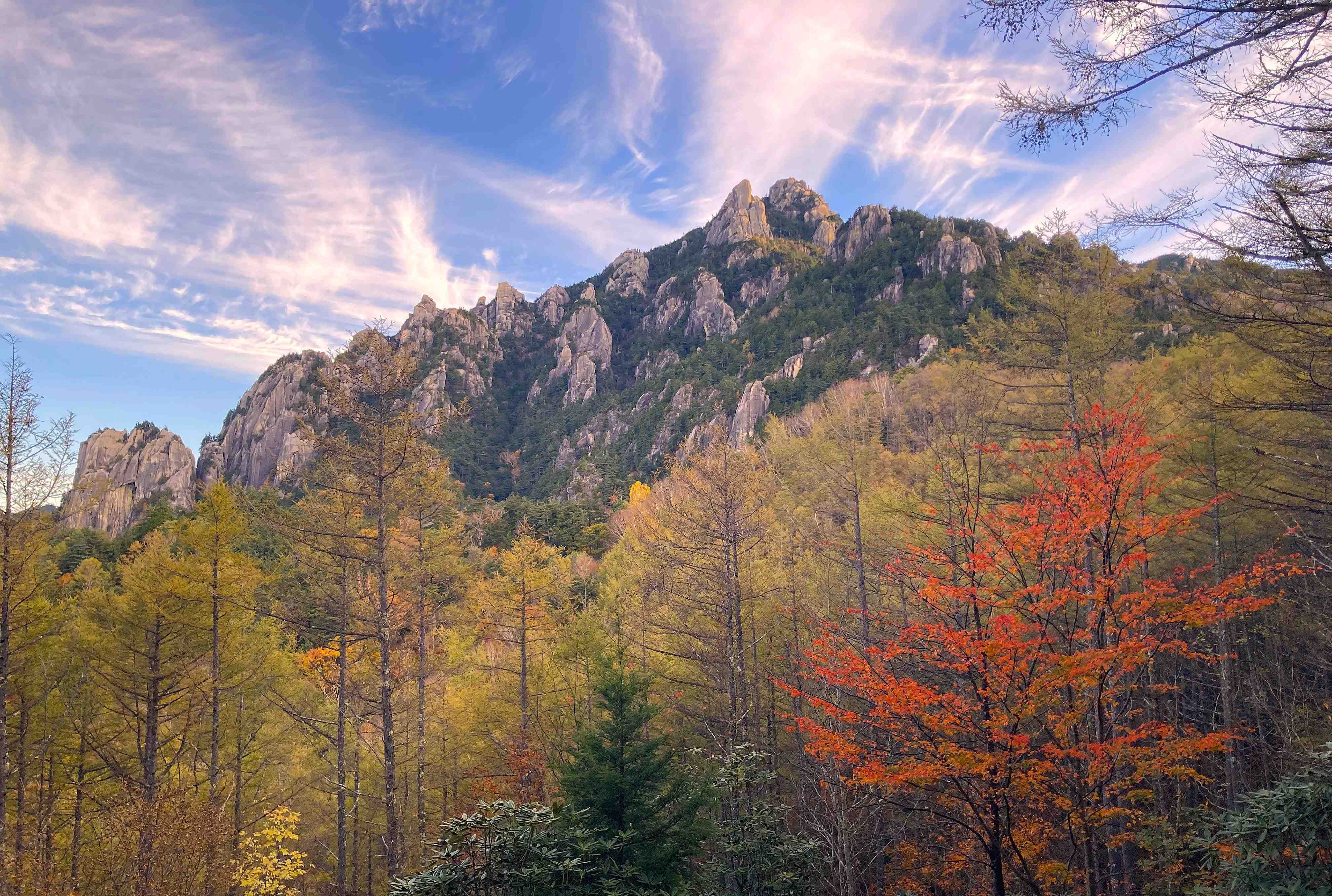 🏞️ 미즈가키산 자연공원 (미즈가키야마 시젠코엔) 이미지 7
